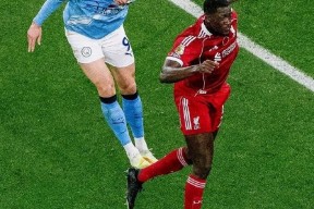 爱游戏官网布鲁克林有棵树在线免费阅读